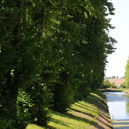 Apartamento Palms Klutz